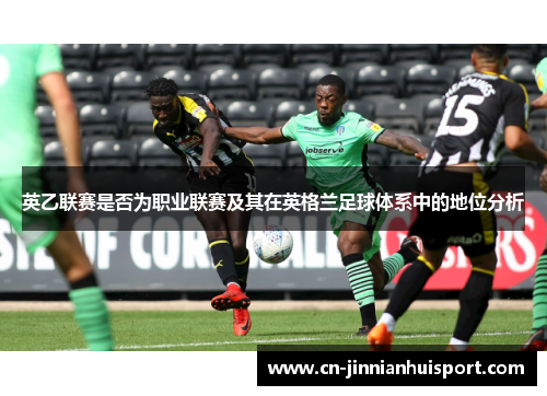 英乙联赛是否为职业联赛及其在英格兰足球体系中的地位分析